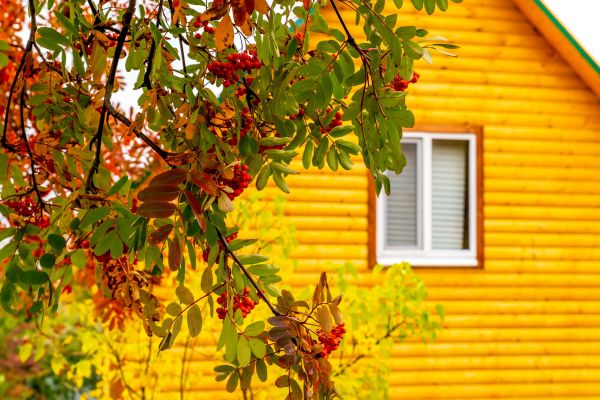 Garden Window Replacement in Davis